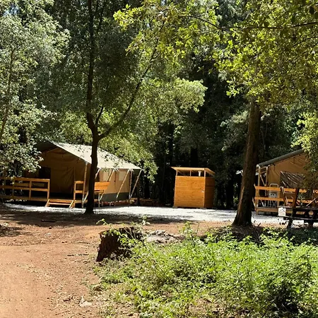 アパート Glamping Eco Campus